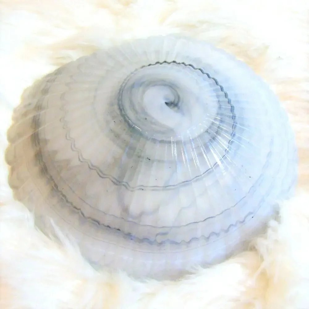Pottery Barn Centerpiece BOWL Gray Alabaster Dekor Glassware Flower Dish 10.5